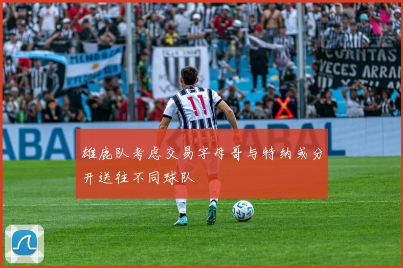 雄鹿队考虑交易字母哥与特纳或分开送往不同球队